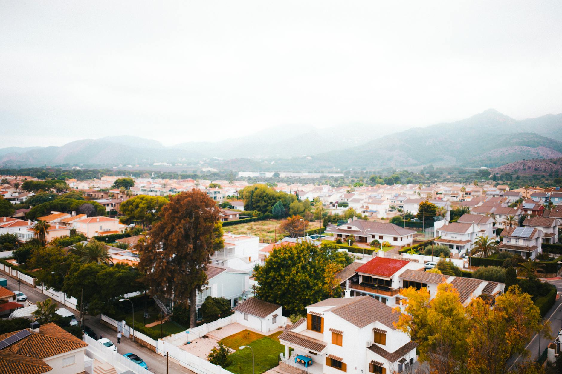 15 Reasons to Try Jiu-Jitsu in Simi Valley This Season