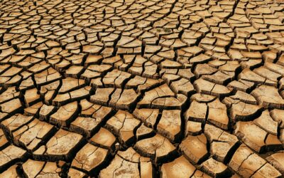 6 Benefits of Personal Training in Simi Valley: Set Your Fitness Goals Today