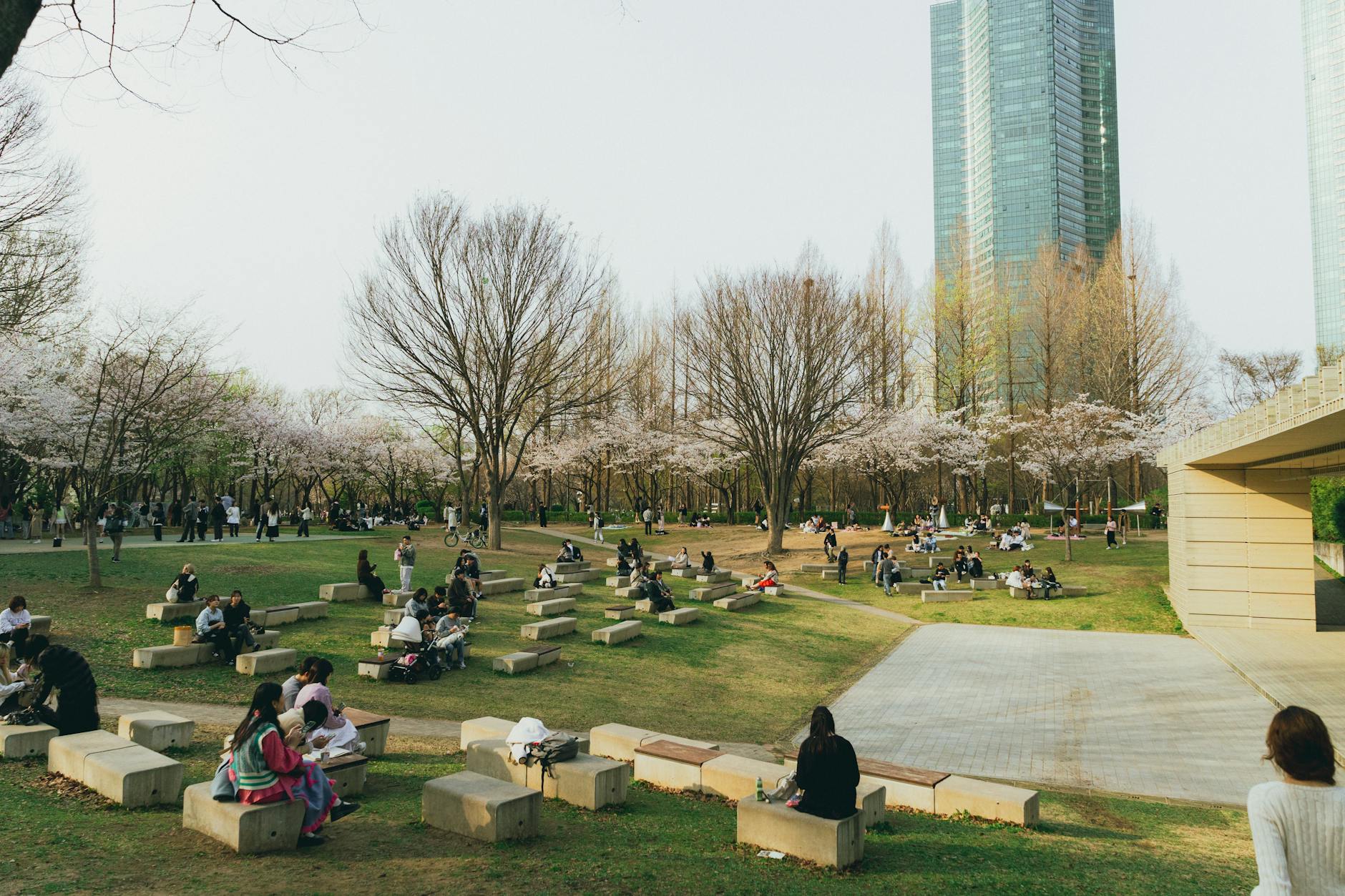 Spring Outdoor Training Ideas for Korean Martial Arts Students